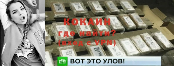 PSILOCYBIN Козельск