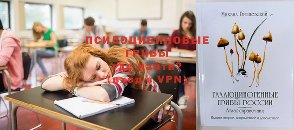 гидропоника Кодинск