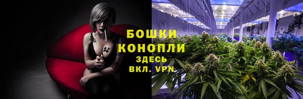 PSILOCYBIN Козельск
