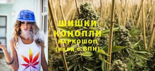 гидропоника Кодинск
