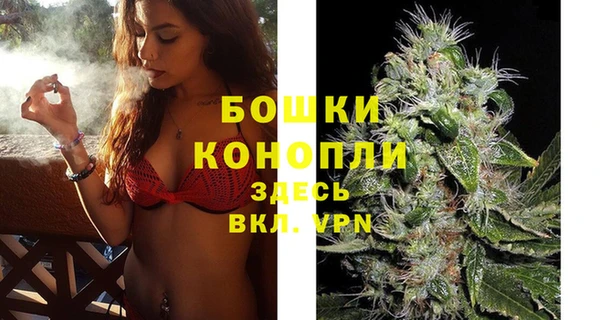 PSILOCYBIN Козельск