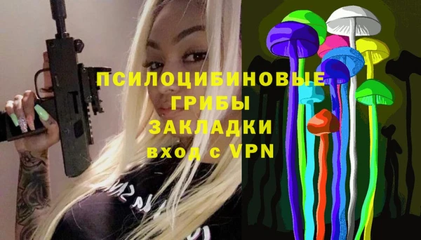 гидропоника Кодинск