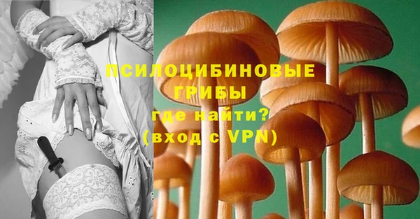 гидропоника Кодинск