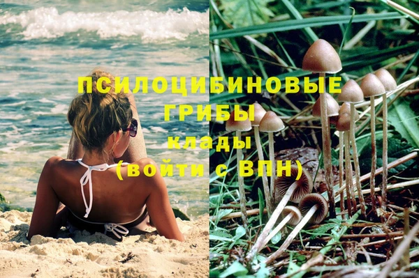 гидропоника Кодинск