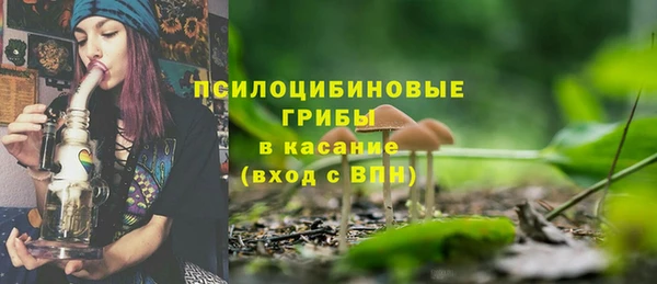 PSILOCYBIN Козельск