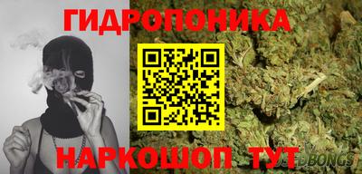 твердый Будённовск