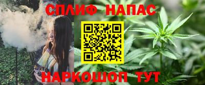 твердый Будённовск