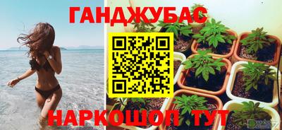твердый Будённовск