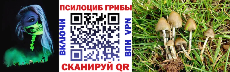 Псилоцибиновые грибы GOLDEN TEACHER  мориарти клад  Екатеринбург 