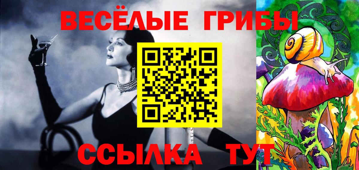 Галлюциногенные грибы Psilocybe Екатеринбург