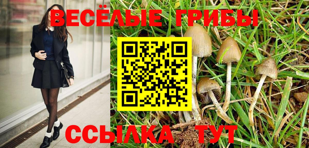 Галлюциногенные грибы GOLDEN TEACHER  Псилоцибиновые грибы MAGIC MUSHROOMS  Екатеринбург 